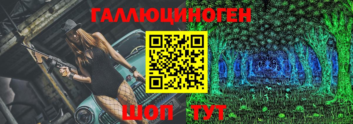 Галлюциногенные грибы Psilocybe  Вход с VPN  Сухой Лог 
